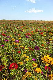 《神秘海域：盗贼遗产合集》PS5版对比PS4 Pro版 找差别